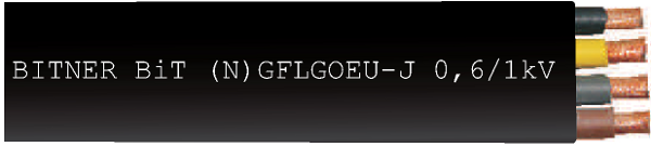 BiT (N)GFLGOEU-J
