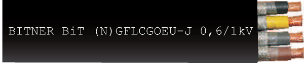 BiT (N)GFLCGOEU-J